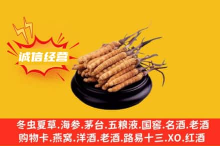 白山市回收冬虫夏草